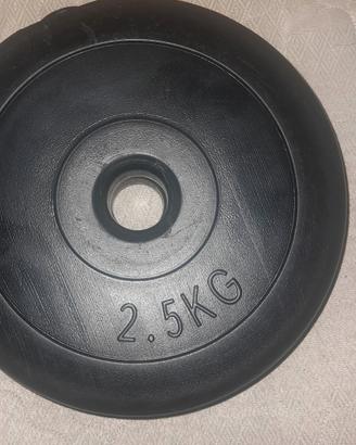dischi per pesistica, 15kg totali