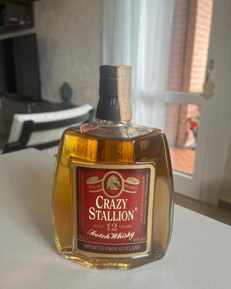 Crazy Stallion