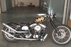 shovelhead fxe 1982