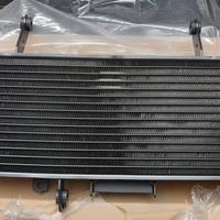 Radiatore Suzuki SV