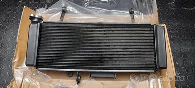 Radiatore Suzuki SV