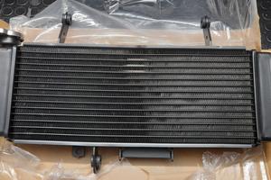 Radiatore Suzuki SV