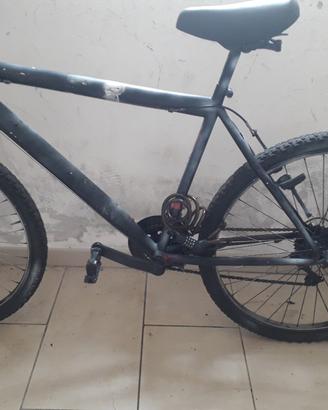 bici uomo 