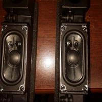 Altoparlanti coppia per tv philips 50pus7303/12