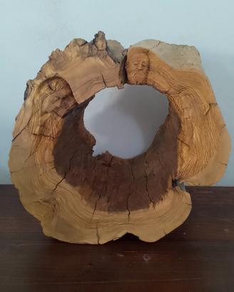 scultura in legno di ulivo 