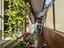 Immagine 18