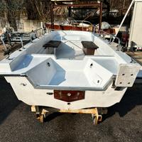 Solcio ali di gabbiano