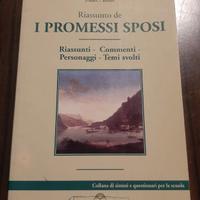 I PROMESSI SPOSI  - RIASSUNTO