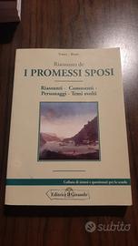 I PROMESSI SPOSI  - RIASSUNTO