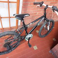 Bicicletta misura 20
