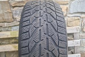 gomme invernali 225/40/R18/92 V