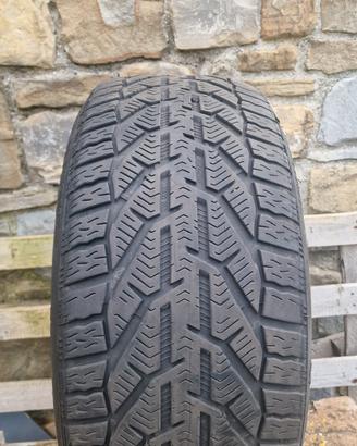 gomme invernali 225/40/R18/92 V