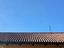 Immagine 7
