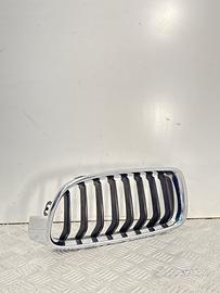 Griglia Radiatore Sinistra BMW Serie 3 F30 F31 Spo