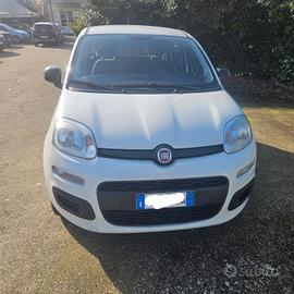 Fiat Panda 0.9 TwinAir Turbo 85cv 2020 Metano di s