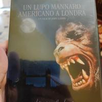 Un Lupo Mannaro Americano A Londra, DVD