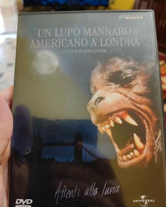 Un Lupo Mannaro Americano A Londra, DVD