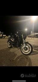 Benelli Leoncino 500