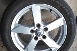 Cerchi Volkswagen Passat