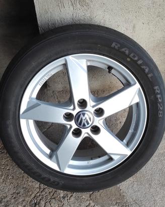 Cerchi Volkswagen Passat