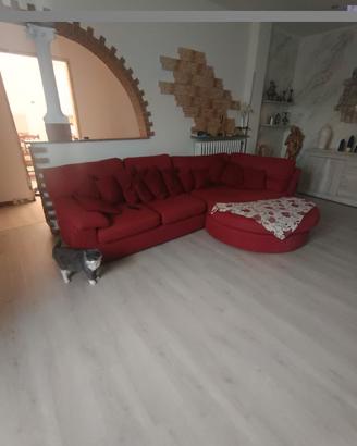 divano.poltrone sofa' disponibile fine novembre