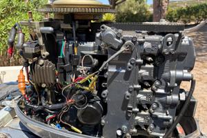 Blocco motore Yamaha 40cv AETL