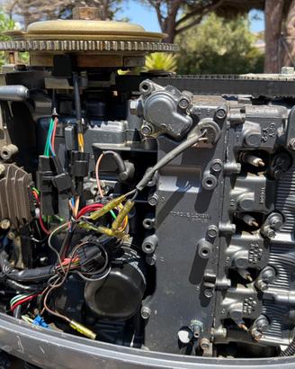 Blocco motore Yamaha 40cv AETL