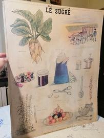 manifesto francese Le Sucre Bernard Garant