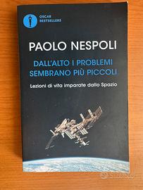 P. Nespoli - Dall'alto i problemi sembrano+piccoli