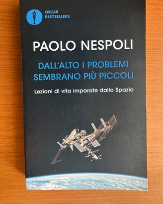 P. Nespoli - Dall'alto i problemi sembrano+piccoli