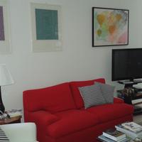 Coppia di divani sfoderabili