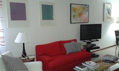 Coppia di divani sfoderabili