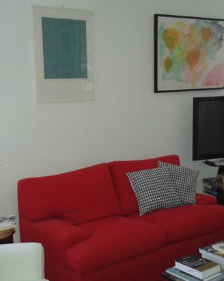 Coppia di divani sfoderabili