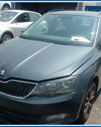 Ricambi Usati SKODA FABIA (NJ)