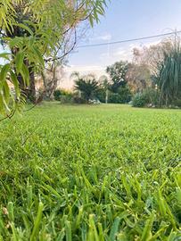 Rustico in campagna con ampio giardino