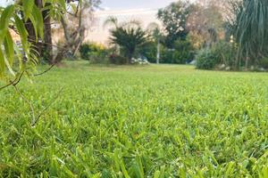 Rustico in campagna con ampio giardino