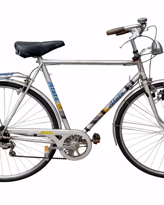 bicicletta da uomo