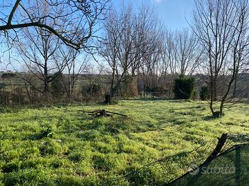 3000metri quadri di terreno