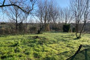 3000metri quadri di terreno