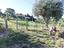 Immagine 21