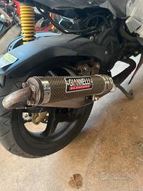 Giannelli reverse  piaggio
