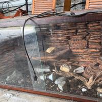 Terrario per rettili e sauri