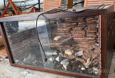 Terrario per rettili e sauri