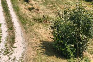 Terreno edificabile in collina