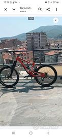 Bici endueo/downhill/freeride