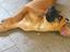 Immagine 2