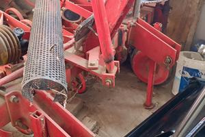 sarchiatore gaspardo