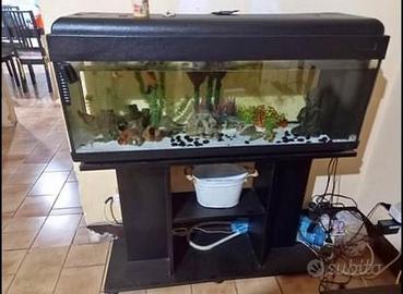 Acquario