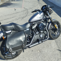 Harley Davidson 883 iron