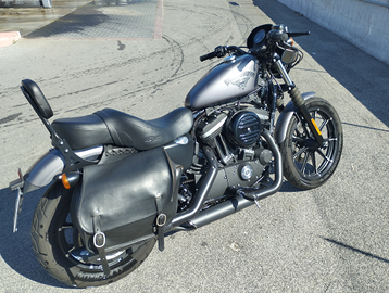 Harley Davidson 883 iron